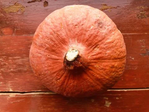 Orange pumpkin Stock Photos