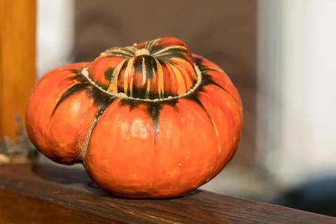 Orange Pumpkin. 스톡 사진