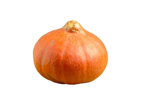 Orange pumpkin Фото