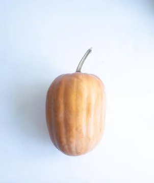 Orange pumpkin with a root white background Stock Photos