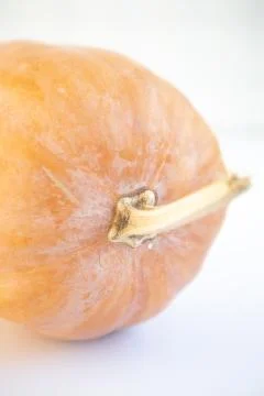 Orange pumpkin with a root white background Stock Photos