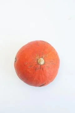 Orange pumpkin with a root white background Stock Photos