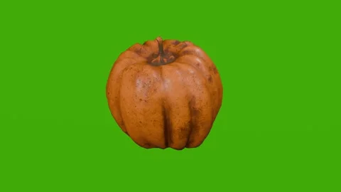 An orange pumpkin rotates on a green screen Stock Footage 279079431