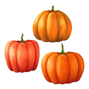 Orange pumpkin set isolated on white background . Stock Illustration