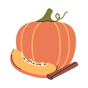 Orange pumpkin, slice of pumpkin, cinnamon stick isolated on white background Stock Illustration