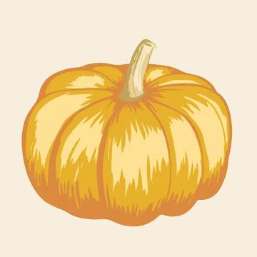 Orange pumpkin vector illustration. Autumn halloween pumpkin, vegetable graphic. Stock Illustration