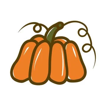 Orange pumpkin vector illustration. Stock Illustration