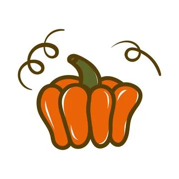 Orange pumpkin vector illustration. Stock Illustration