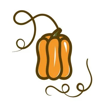 Orange pumpkin vector illustration. Stock Illustration
