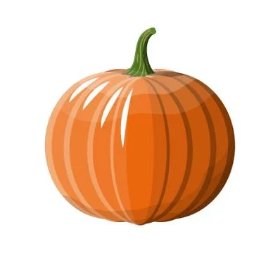 Orange pumpkin vegetable. Stock Illustration