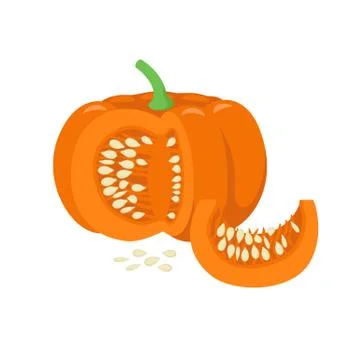 Orange pumpkin vegetable isolated on white background. Cucurbita pepo fruit Stock-Illustration