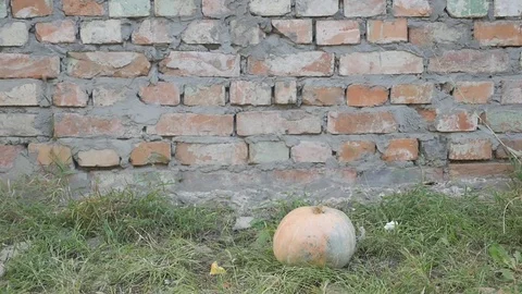 Orange Pumpkin violently explodes after being struck by a high power rifle Vídeos de archivo 83033927