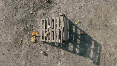 Orange Pumpkin violently explodes after being struck by a high power rifle slow Video stock 168889403