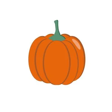 Orange pumpkin on a white background. Illustration. Stock Illustration