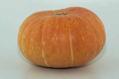 Orange pumpkin on a white background Stock Photos
