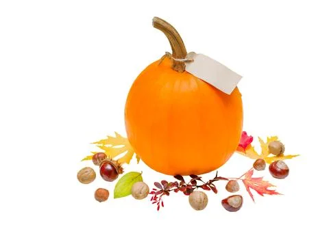 Orange pumpkin on white background Stock Photos