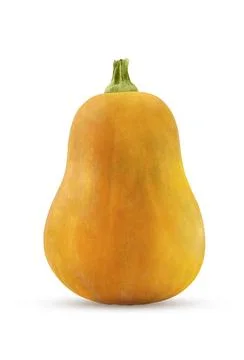 Orange pumpkin on a white isolated background. Symbol of Halloween, Thanksg.. Stock Photos