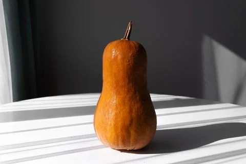 Orange Pumpkin on a White Table in Natural Light Side View Stock Photos