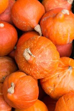 Orange pumpkins 2 Stock Photos