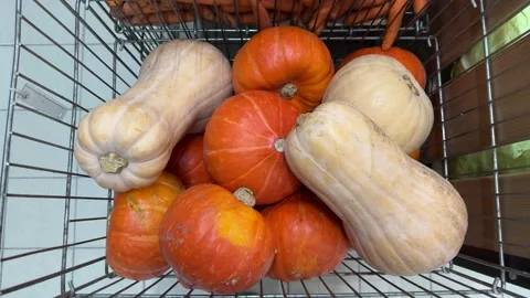 Orange pumpkins and butternut squash in a metal shopping cart  Stock-Footage 344041304