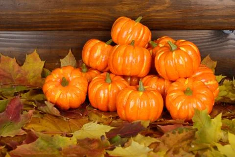 The orange pumpkins are on maple leafs Stock Photos