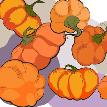 Orange pumpkins, Autumn card, vector background Stock Illustration