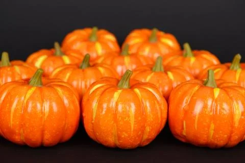 The orange pumpkins on black background Stock Photos
