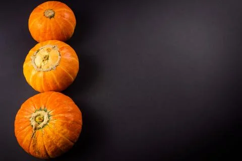 Orange pumpkins close-up on a dark background with darkening along the edges Stock-Fotos