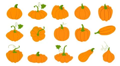 Orange pumpkins in flat style isolated on white background. Orange vegetable Stock Illustration