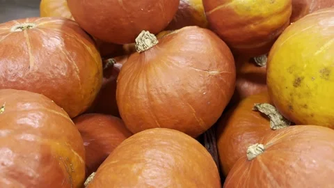 Orange pumpkins Stock Footage 318058191