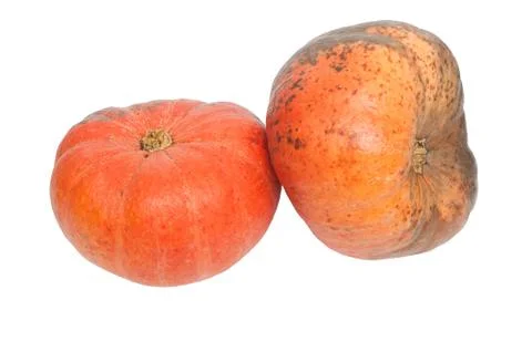 Orange pumpkins isolated on white background cutout Fotos Stock