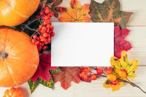 Orange pumpkins, maple leaf, berries and mock up paper blank on wooden backgr Stock Photos