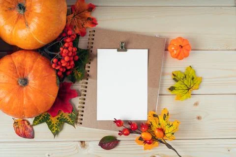 Orange pumpkins, maple leaf, berries and mock up paper blank on wooden backgr Foto stock