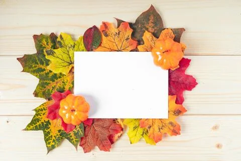 Orange pumpkins, maple leaf, berries and mock up paper blank on wooden backgr Foto stock
