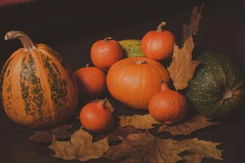 Orange pumpkins on the old rustic table with vintage film colours Stock Photos