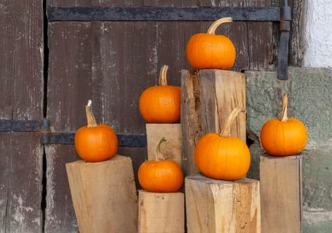 Orange pumpkins Stock Photos