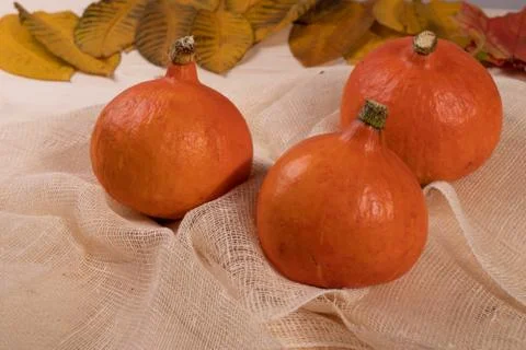 Orange pumpkins Stock Photos