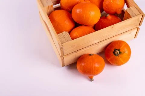 Orange pumpkins Stock Photos