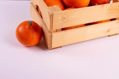Orange pumpkins Stock Photos