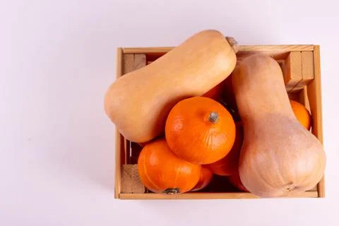 Orange pumpkins Stock Photos