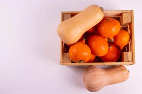 Orange pumpkins Stock Photos