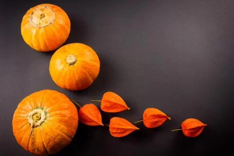 Orange pumpkins with physalis on a dark background with darkening along the Stock Photos