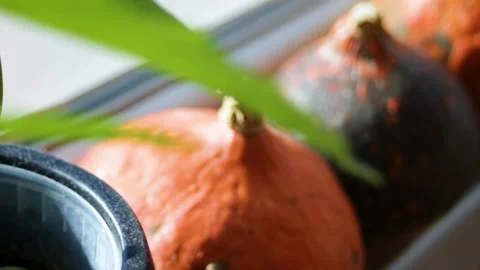 Orange pumpkins rest in harvest display, with one orange pumpkin Stock Footage 344899670