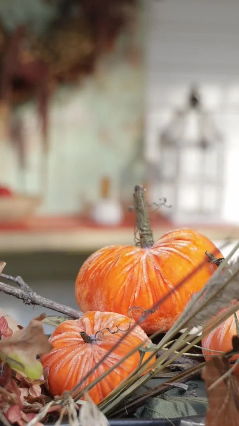Orange Pumpkins in Rustic Autumn Floral Arrangement, Cozy Fall Decor, Vertical V Stock Footage 346640028