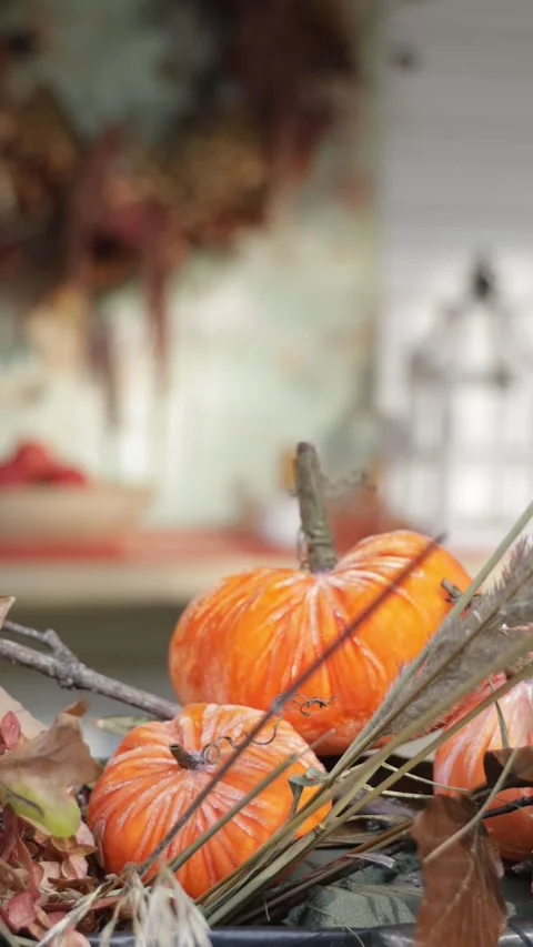 Orange Pumpkins in Rustic Autumn Floral Arrangement, Cozy Fall Decor, Vertical V Stock Footage 346640039