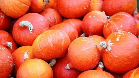 Orange pumpkins thrwn over each other Stock Footage 118229900