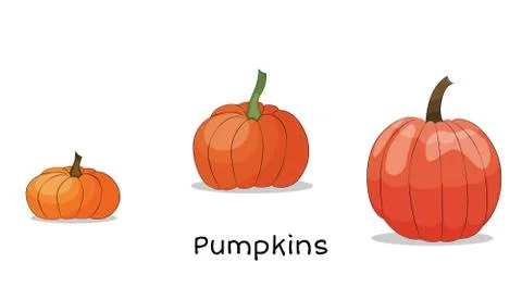 Orange pumpkins vector set illustration on the white background. Stock Illustration
