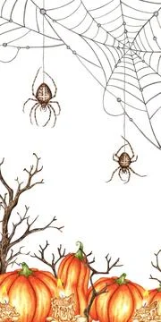 Orange pumpkins web and dry branches story watercolor Stock Illustration