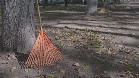 Orange rake leaning against tree with scattered leaves on ground in shaded park Stock Footage 285756264