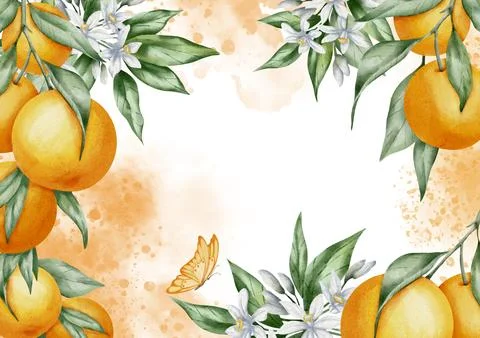 Orange rectangular Frame with citrus fruits. Hand drawn watercolor illustration Stock Illustration